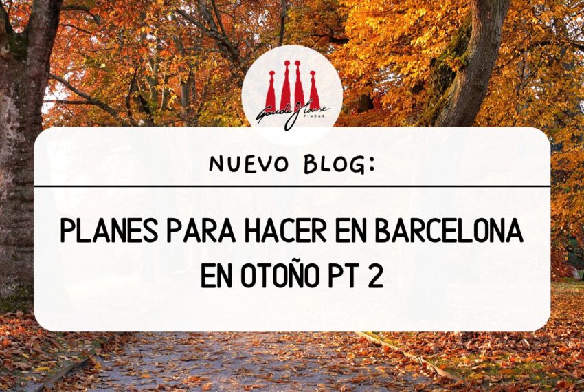 Planes para hacer en Barcelona en otoño pt 2